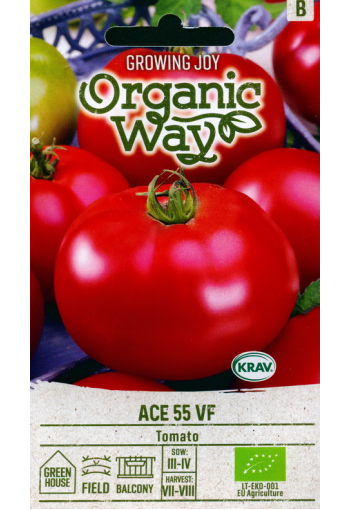 Tomaatti "Ace 55 VF"