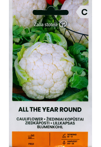 Cauliflower "All the Year round"