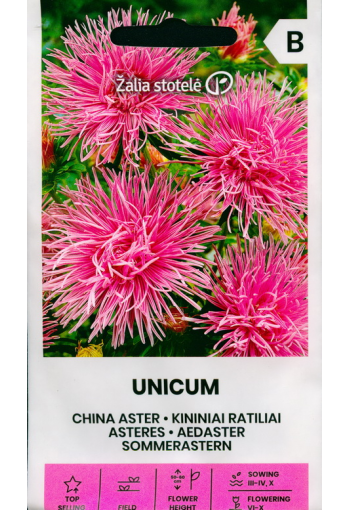 Nõelaster "Unicum roosa"