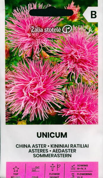 Asteri "Unicum Pink"