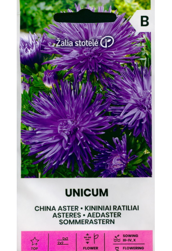 Nõelaster "Unicum sinine"