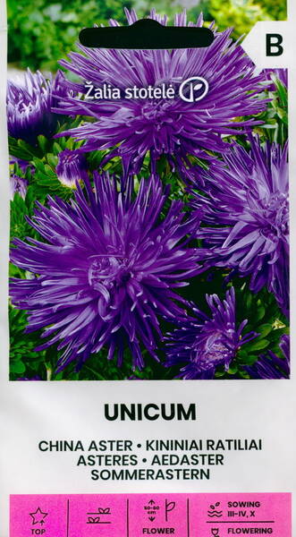 Aster "Unicum Blue"