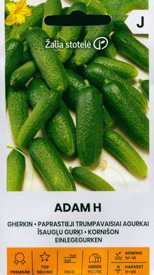 Gherkin "Adam" F1