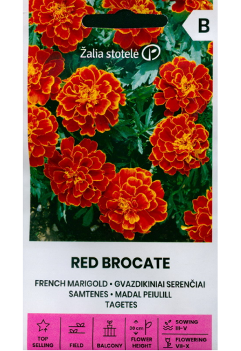 Marigold "Red Brocate"