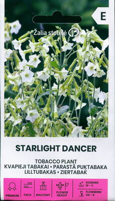 Lilltubakas "Starlight Dancer"