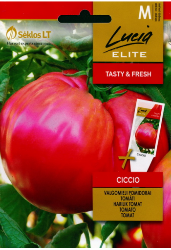 Tomaatti "Ciccio"