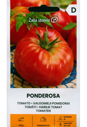 Tomaatti "Ponderosa"