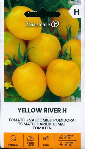 Tomato "Yellow River" F1