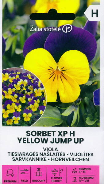 Виола рогатая "Sorbet XP Yellow Jump" F1