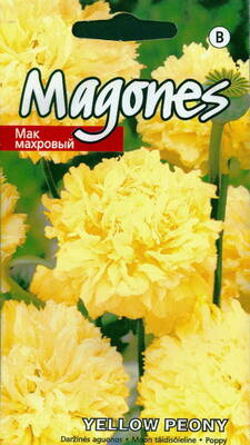 Magun pojengikujuline ''Yellow Peony'' (täidisõiene moon)