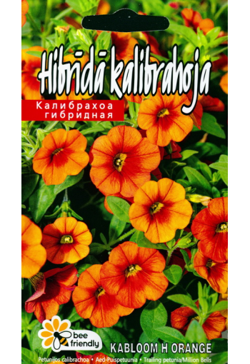 Minipetunia "Kabloom Orange" F1 (Calibrachoa)