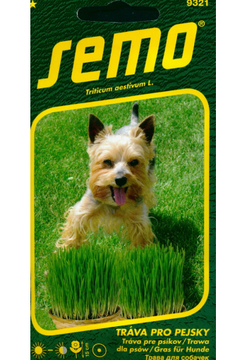 Gräs för hundar "Gröna vitaminer"