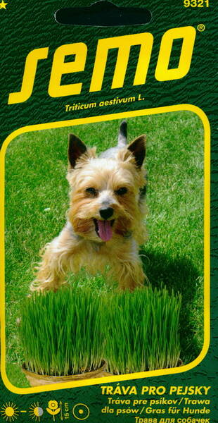 Grass for dogs "Green vitamins"