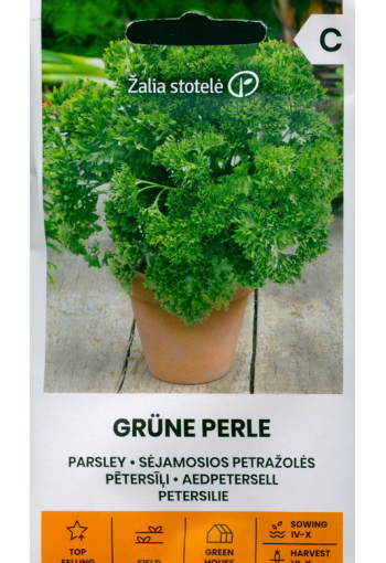 Leaf Parsley (tops) "Grüne Perle"
