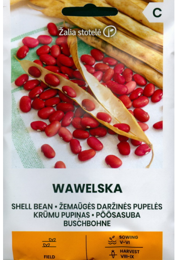 Dwarf shell bean "Wawelska"