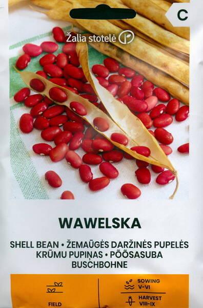 Põõsasuba "Wawelska"