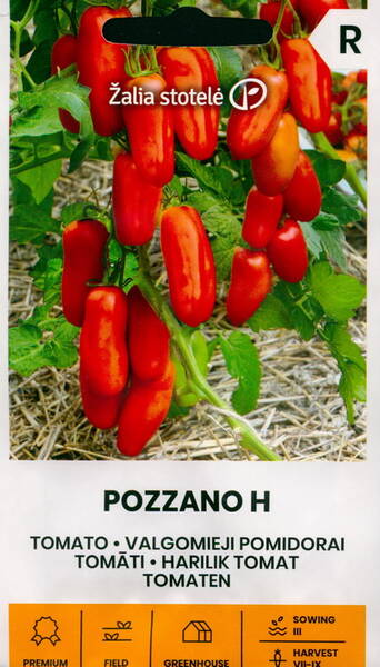 Tomat "Pozzano" F1 