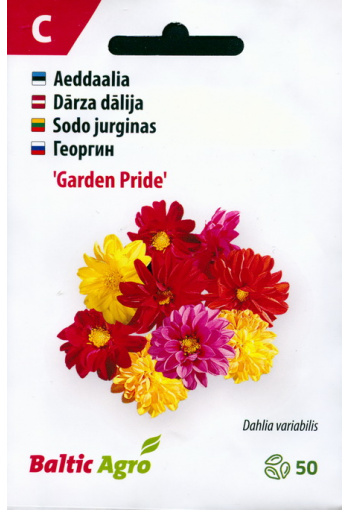 Dahlia "Garden Pride" (mix)