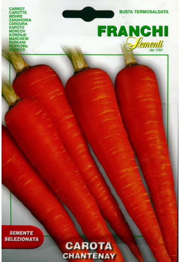 Carrot "Chantenay"