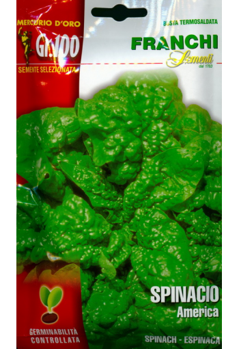 Spinach "America" (100 g)
