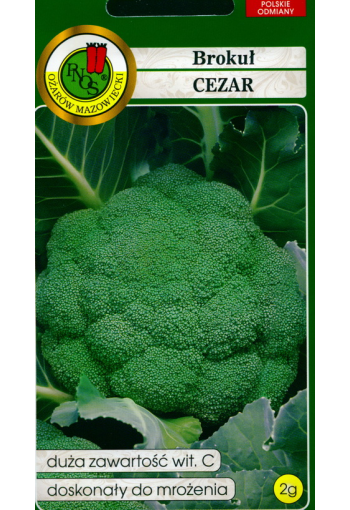 Broccoli "Cezar" (Green sprouting calabrese)