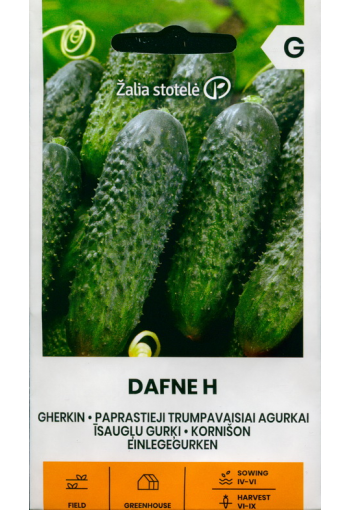 Cucumber "Dafne" F1