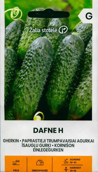 Cucumber "Dafne" F1