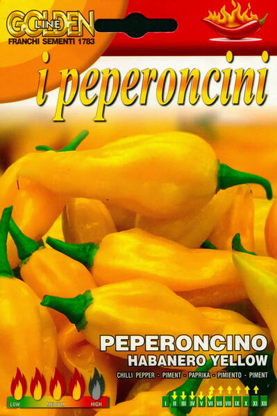 Hot pepper "Habanero Yellow" (Chilli pepper) : 200 000 SHU