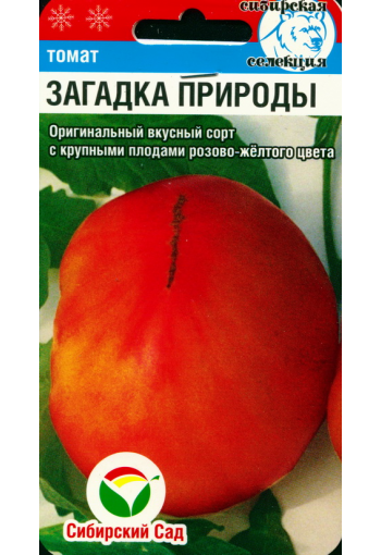 Tomaatti "Zagadka Prirody" ("Luonnon mysteeri")
