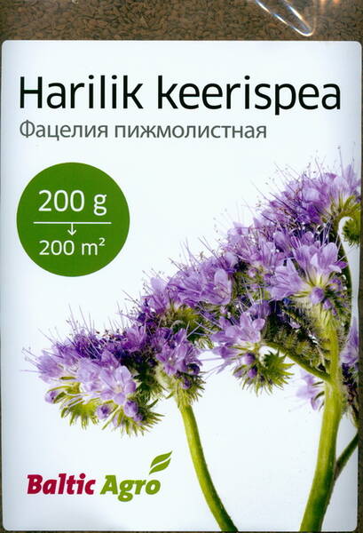 Lacy phacelia "Stala" (200 g)