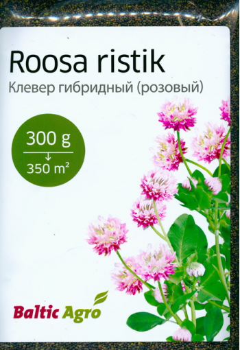 Клевер розовый "Эрмо" (клевер шведский, клевер гибридный) Trifolium hybridum