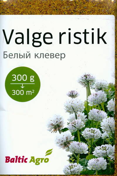 Клевер белый (ползучий микроклевер) "Ривендэл" Trifolium repens