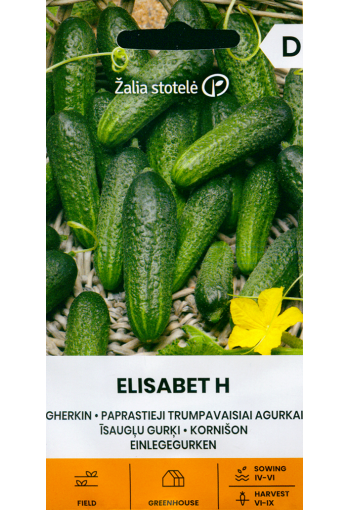 Cucumber "Elisabet" F1