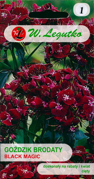 Гвоздика турецкая "Чёрная Магия" (Гвоздика бородатая) Dianthus barbatus