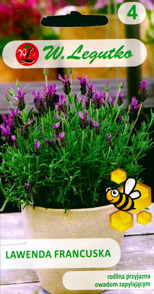 Лаванда французская "Фрагрант Батерфляй" (широколистная) Lavandula latifolia