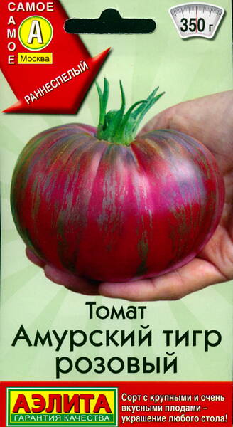 Tomate „Amur Tiger Pink“