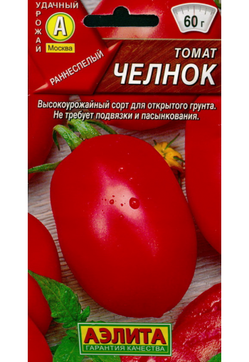 Tomat "Chelnok" Lycopersicon esculentum