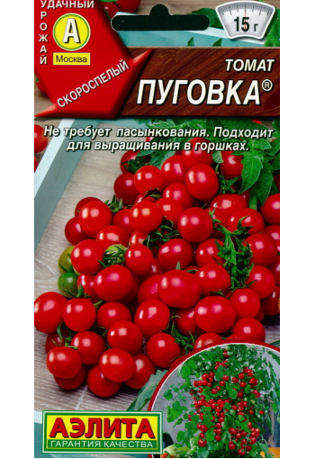 Tomato "Pugovka"