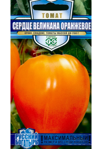 Tomaatti "Serdce Velikana orange"