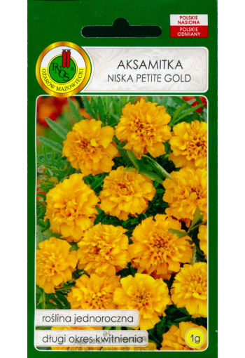 French marigold double "Petite Gold"