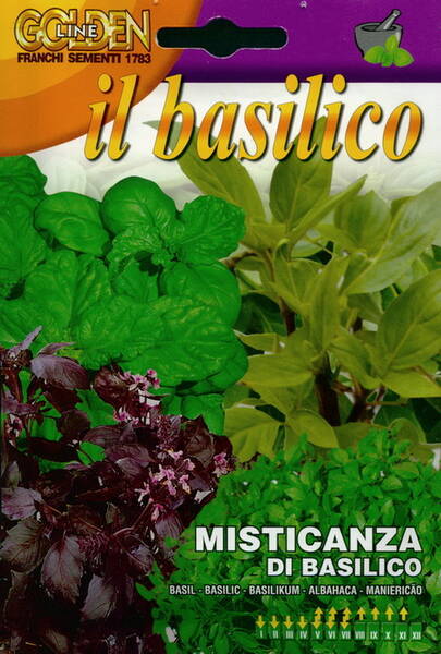 Sweet basil ''Misticanza di Basilico'' (mixture of 12 varieties)