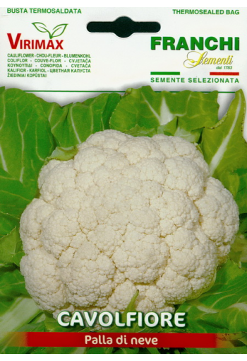 Cauliflower "Palla di neve"