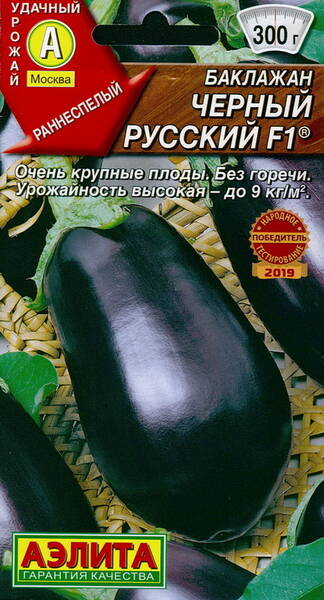 Eggplant "Chorny Russky" F1