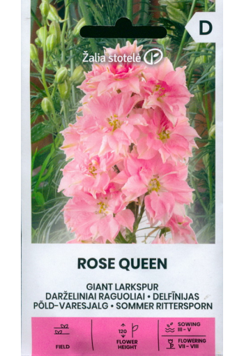 Forking larkspur "Rose Queen" (royal knights spur)
