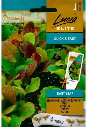 Салат листовой детский "Baby leaf lettuce" (на ленте)