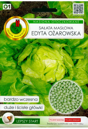 Keräsalaatti "Edyta Ozarowska"