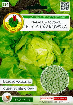 Lettuce "Edyta Ozarowska"