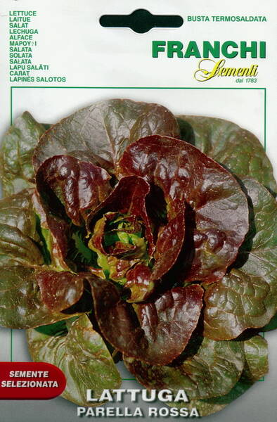 Lettuce "Parella Rossa"