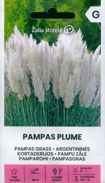 Argentiina pamparohi "Pampas plume"