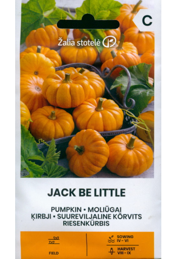 Ornamental mini-pumpkin "Jack be Little"